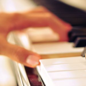 明星扒开腿给我舔
