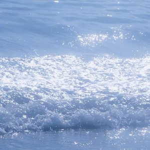 明星扒开腿给我舔
