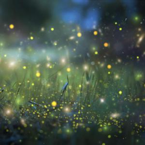 明星扒开腿给我舔
